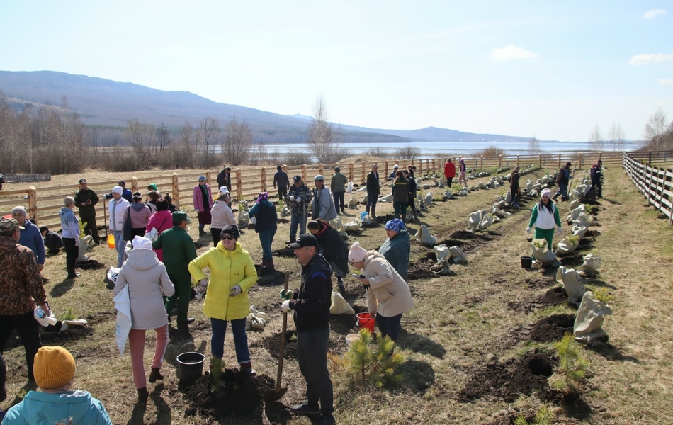 Все на экологический субботник!