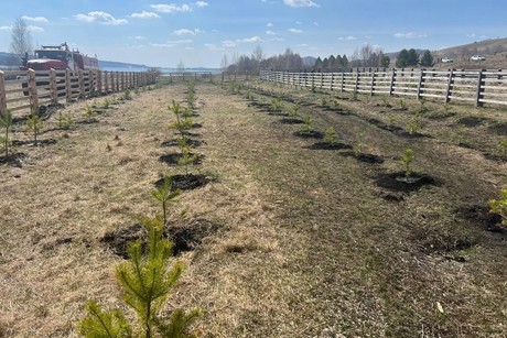 фото - Все на экологический субботник!