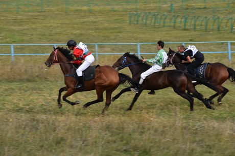 фото - Скачки во имя мужества!